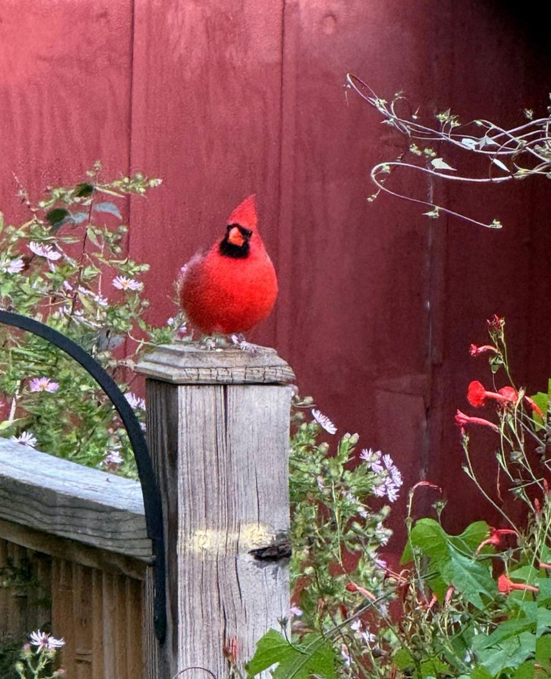 The Pope did not make it, but this Cardinal did...